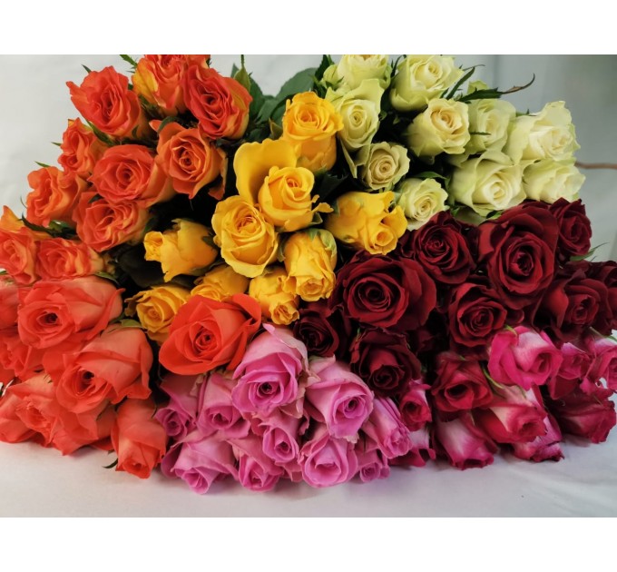 ТРОЯНДА КЕНІЯ В АСОРТИМЕНТІ