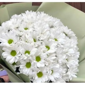 15 білих хризантем