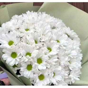 15 білих хризантем