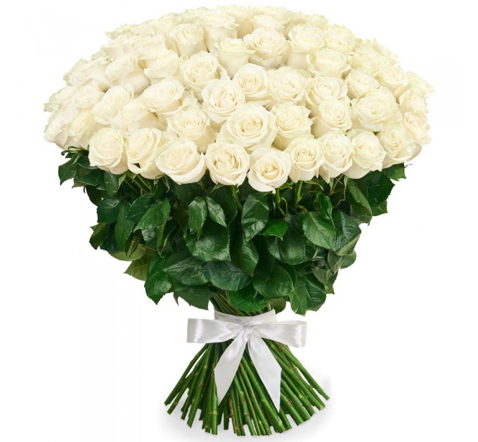 101 біла голландська троянда Mondial/White Chocolate