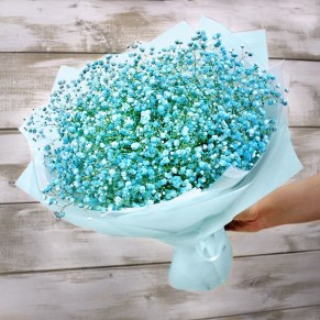 Гіпсофіла кольорова Гілка Гіпсофіла кольорова Гілка