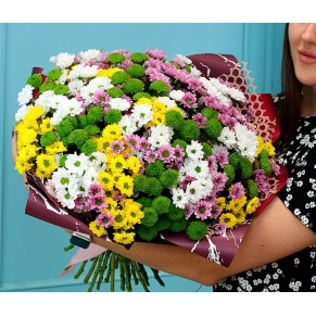 35 хризантем мікс 2