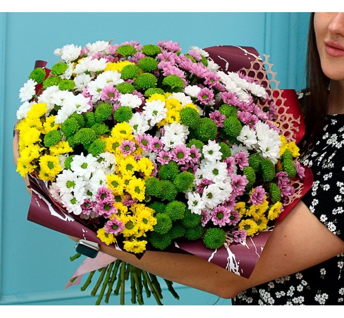 35 хризантем мікс 2