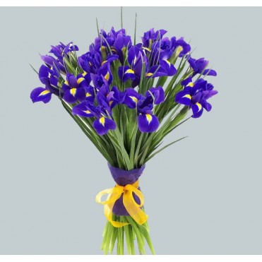 17 синьо-фіолетових ірисів