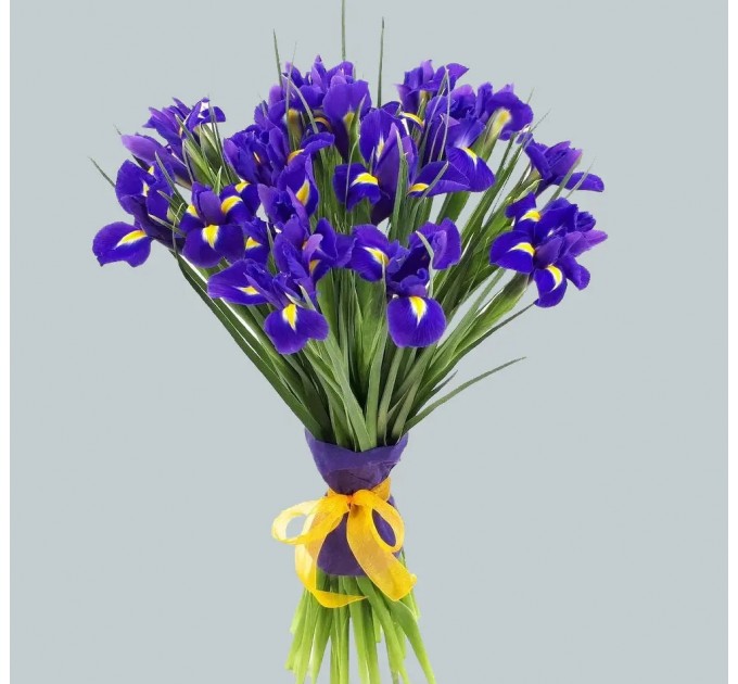17 синьо-фіолетових ірисів