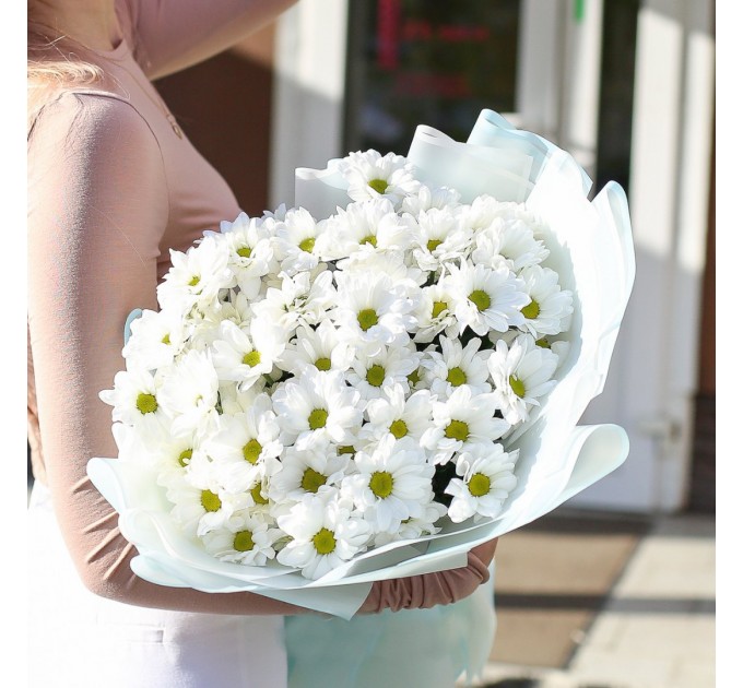 25 белых хризантем