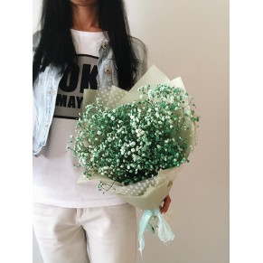 Гіпсофіла кольорова Гілка Гіпсофіла кольорова Гілка