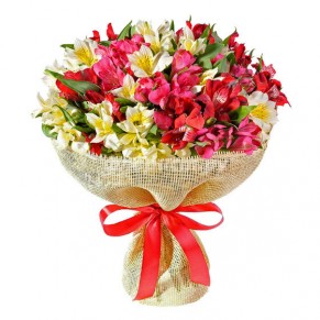 55 альстромерій мікс