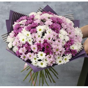 25 хризантем мікс