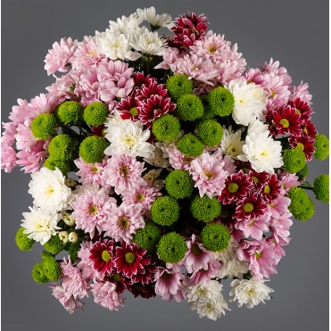 29 хризантем мікс 4