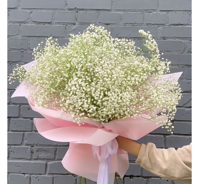 Гіпсофіла біла Гілка