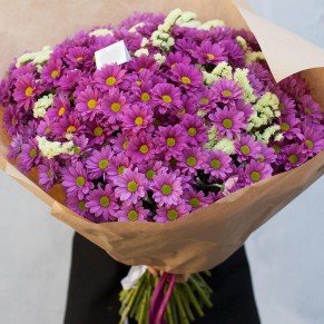 25 рожевих хризантем