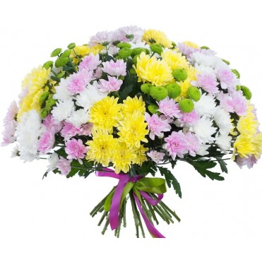 35 хризантем мікс