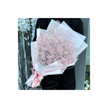 Гіпсофіла кольорова Гілка