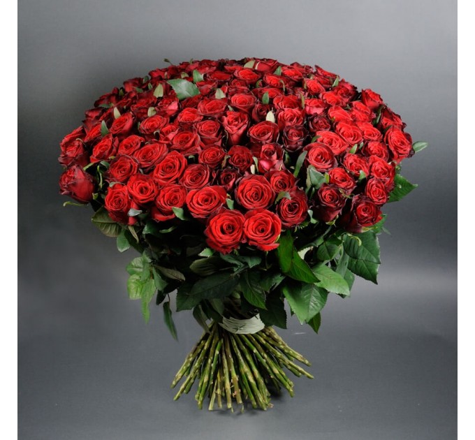 101 красная роза Гран При 80 см