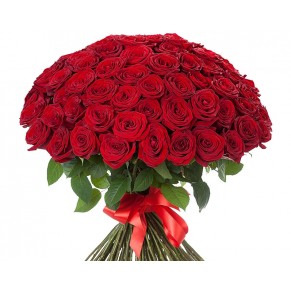 101 червона голландська троянда Freedom