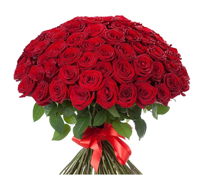 101 червона голландська троянда Freedom