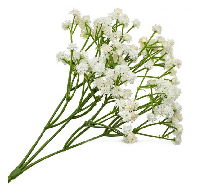 Гіпсофіла біла Гілка