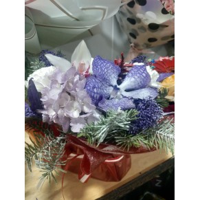 Композиція "Зимове мереживо!" Композиція "Зимове мереживо!"