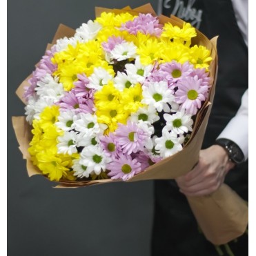 15 хризантем мікс 2