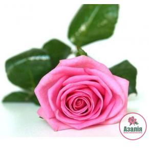 Букет водний 51шт Букет водний 51шт