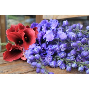 Букет Казковий Дельфініум Букет Казковий Дельфініум