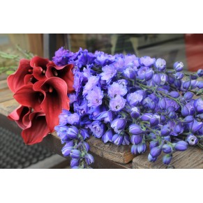 Букет Казковий Дельфініум Букет Казковий Дельфініум