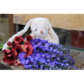 Букет Казковий Дельфініум