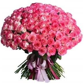 роза джамилия