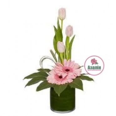 Нова композиція 11