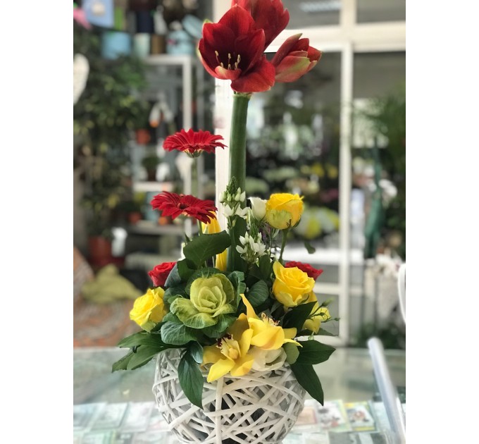 Композиція Great Carmen