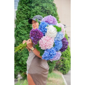 Букет із Гортензій 9 шт.