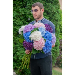 Букет із Гортензій 11шт.