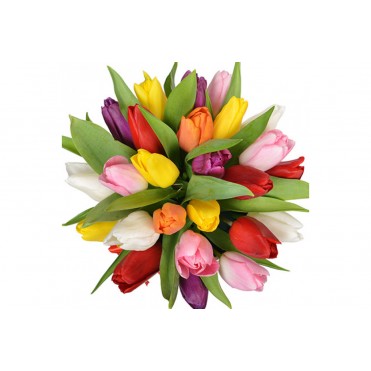 Квіти в коробці"25 яскравих тюльпанів"