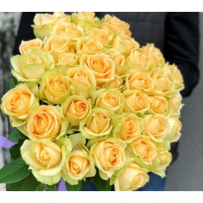 41 троянда Піч Аваланч 60 см 41 троянда Піч Аваланч 60 см