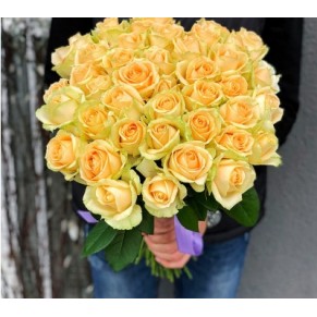 41 троянда Піч Аваланч 60 см