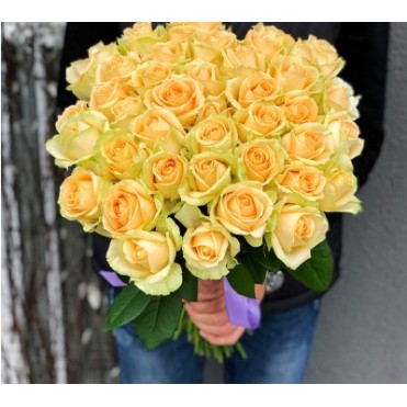 41 троянда Піч Аваланч 60 см