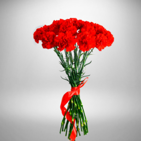 Гвоздика Гвоздика