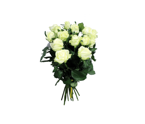 Троянди від 25 ₴