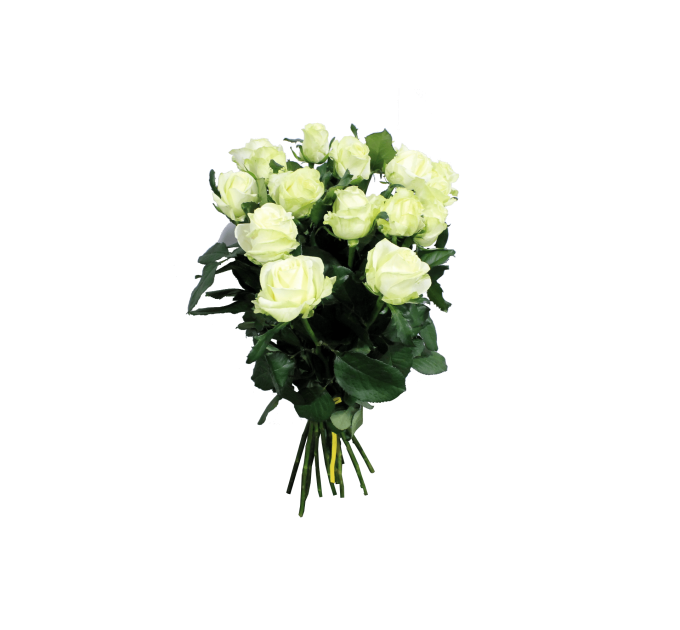 Роза Аваланч