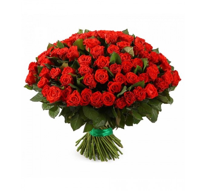 Роза Ель Торо