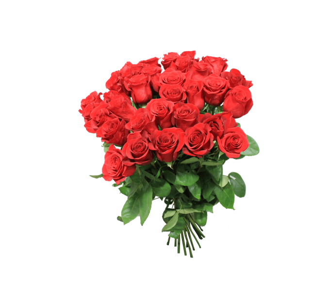 Роза Фрідом - Еквадор