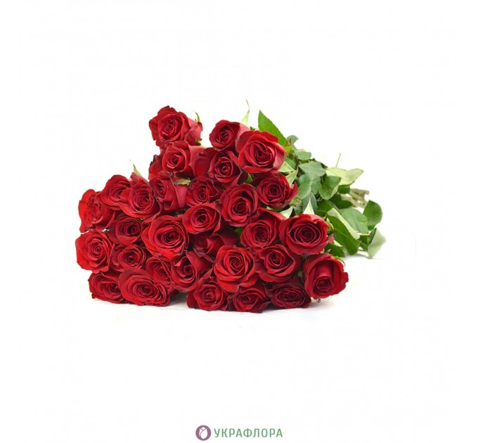 Роза Фрідом - Еквадор