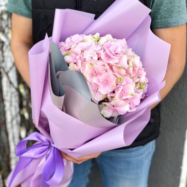 1 гортензія в асортименті