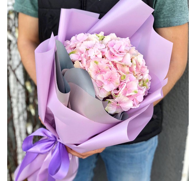 1 гортензія в асортименті