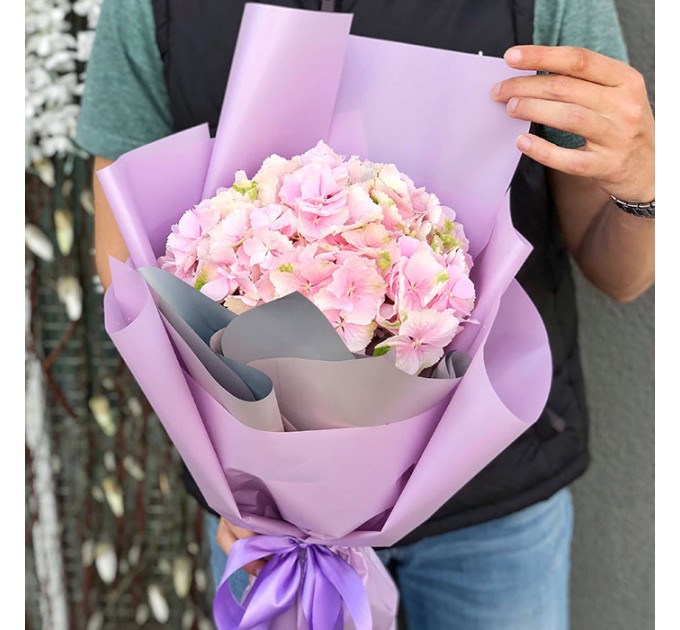 1 гортензія в асортименті