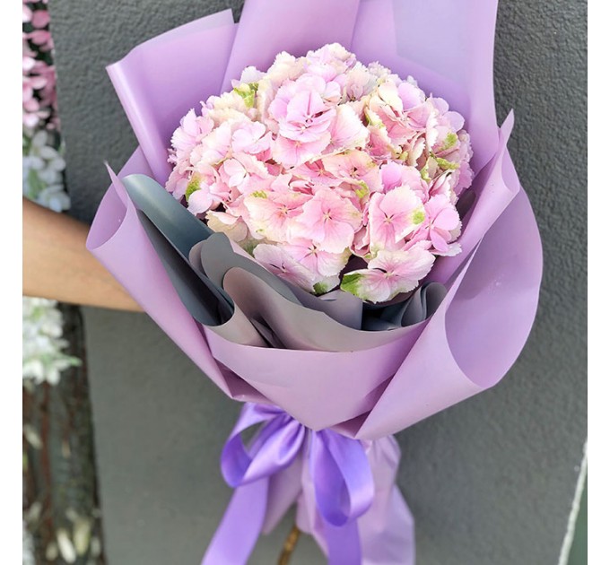 1 гортензія в асортименті