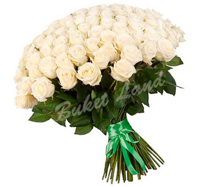 101 белая роза 1 метр