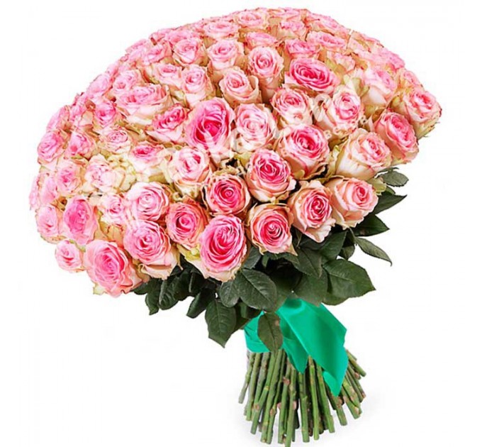 101 эквадорская роза 80 см в ассортименте