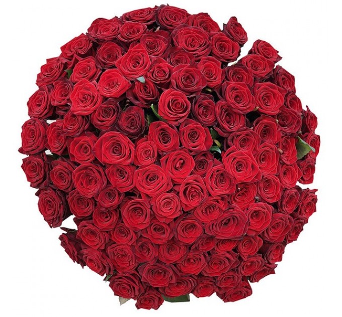 101 червона троянда 50 см Гран Прі